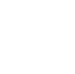 Brake Services icon