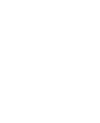 Vehicle Inspections icon