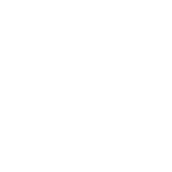 Steering/Suspension  icon